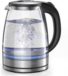 HadinEEon Electric Kettle 