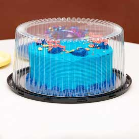 Plastic Disposable Cake Containers Carriers 