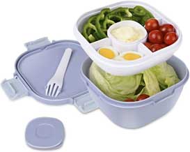 Leak Proof Salad Lunch Container