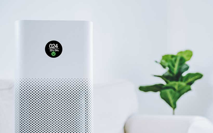 The 7 Best Air Purifiers for Dorm Rooms